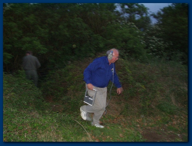 600x449 pixels (127K)